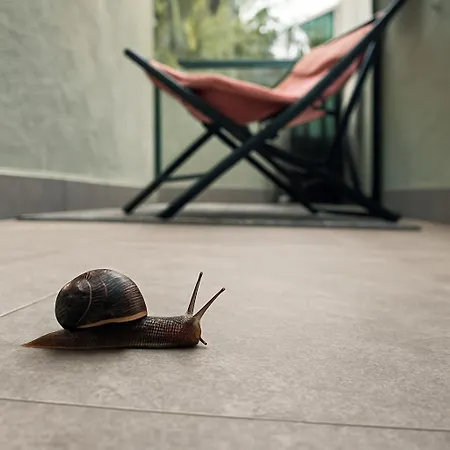 Felicita - 2 Terraces & Relax アパート レッコ