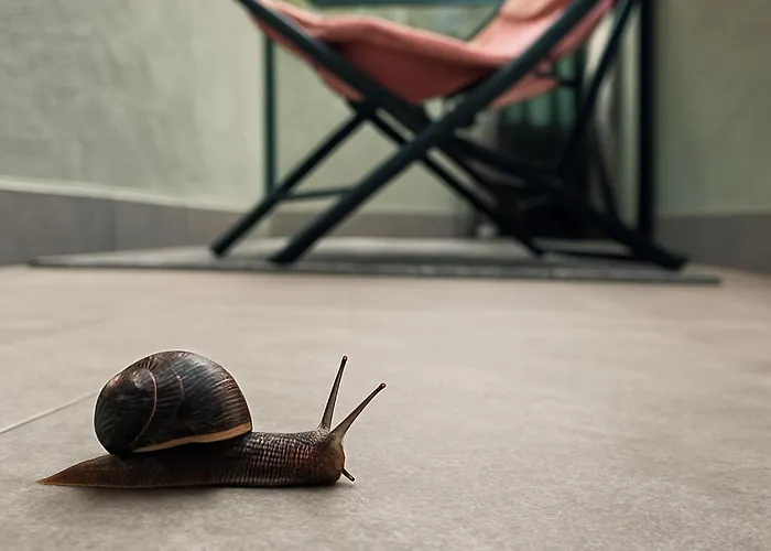 Felicita - 2 Terraces & Relax דירה לקו